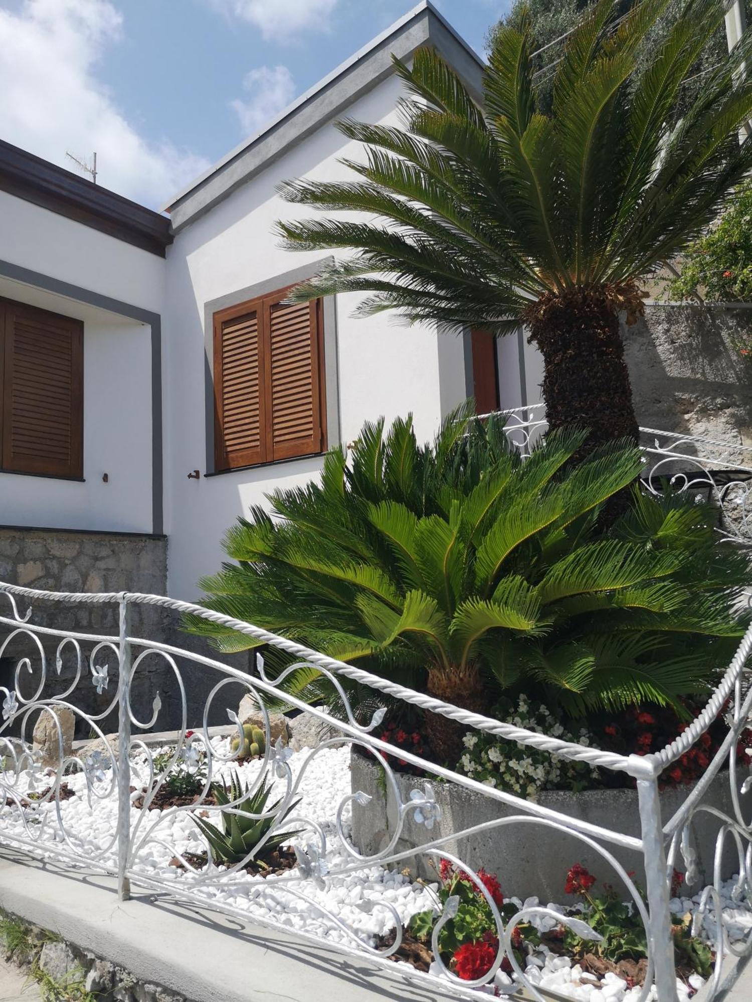 Villa Furoris Apartment ฟูโรเร ภายนอก รูปภาพ